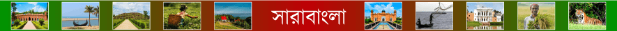 সারাবাংলা